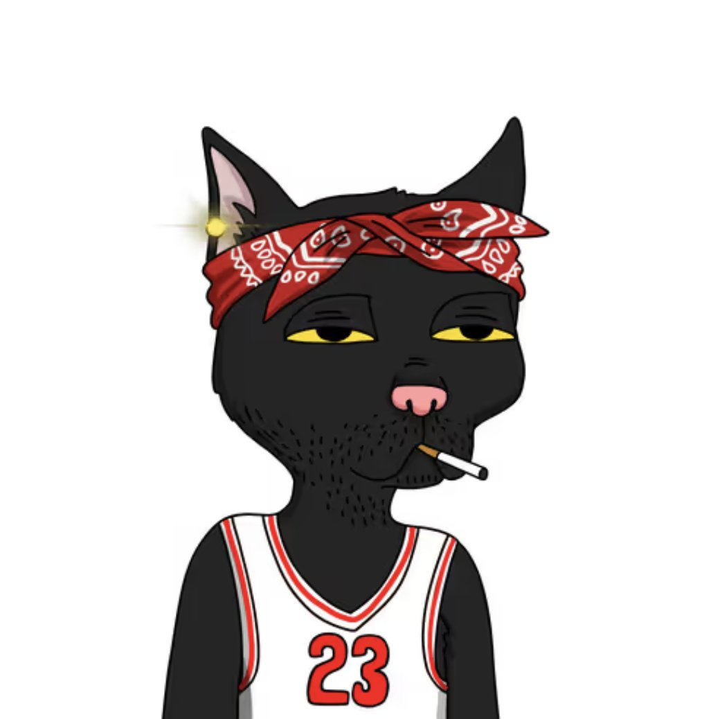 Bunny Bala tweet media