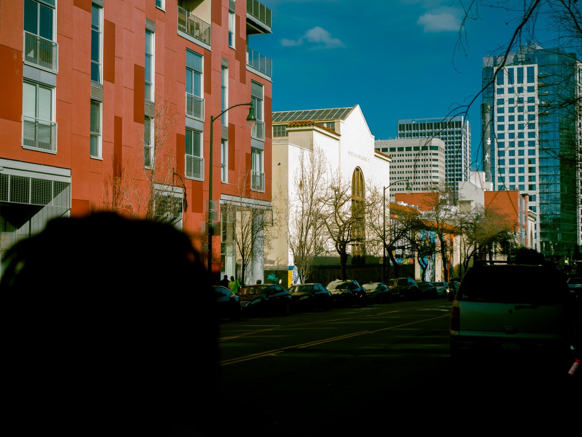 Junebug🐞 tweet media