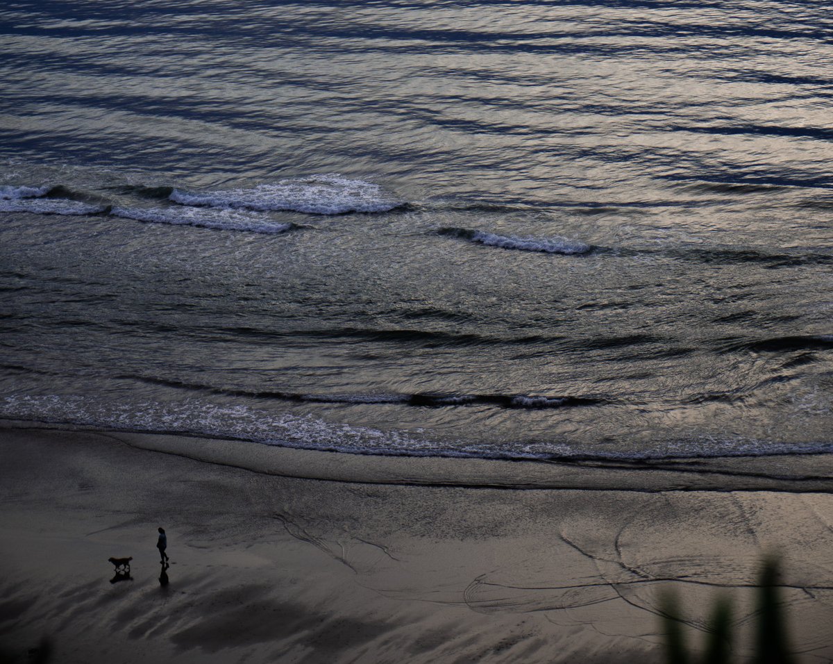 Junebug🐞 tweet media