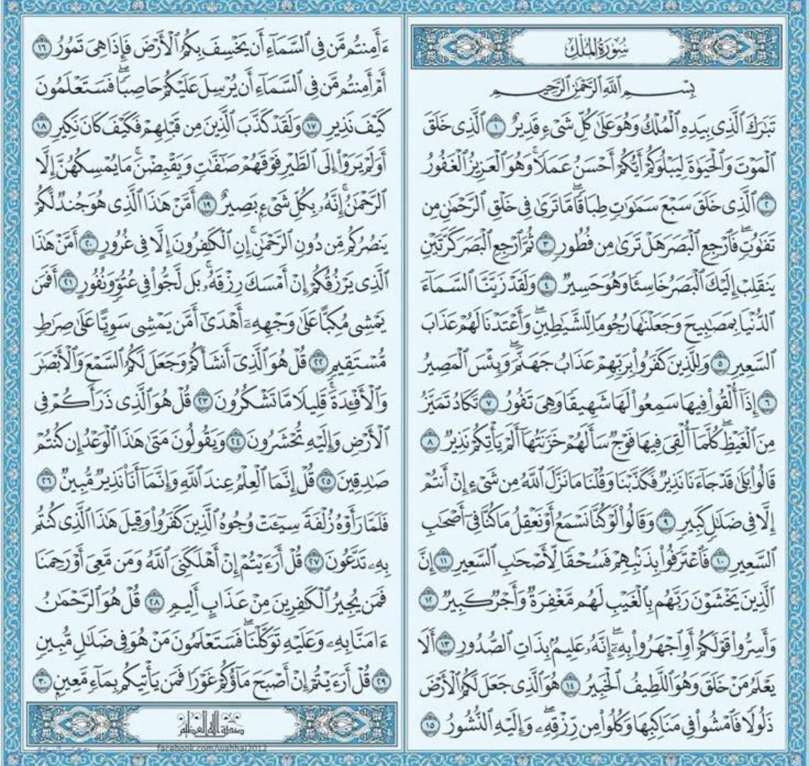 مهـا tweet media
