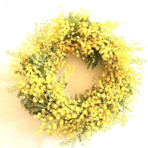 ダイアログ・ダイバーシティミュージアム「対話の森」 tweet media