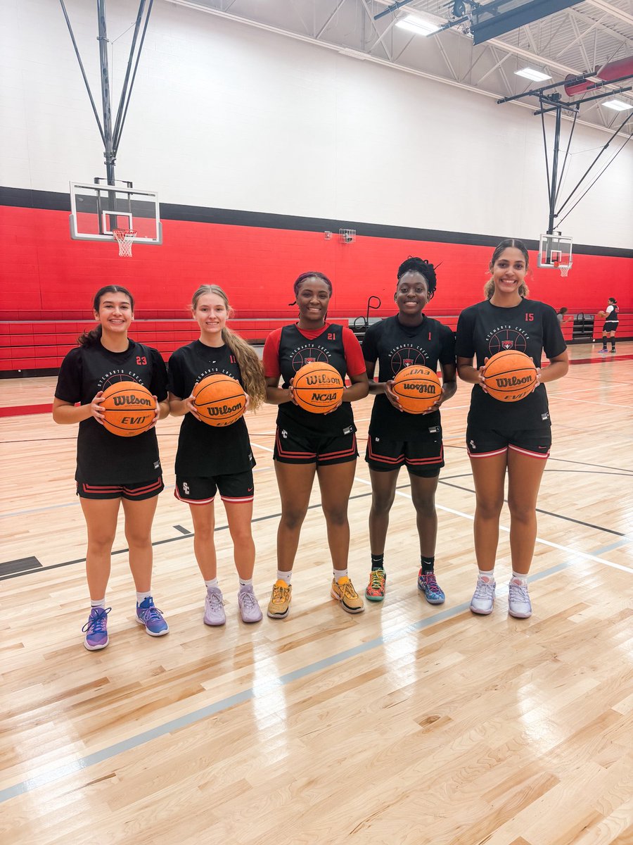 LadyRedHawksBBall tweet media