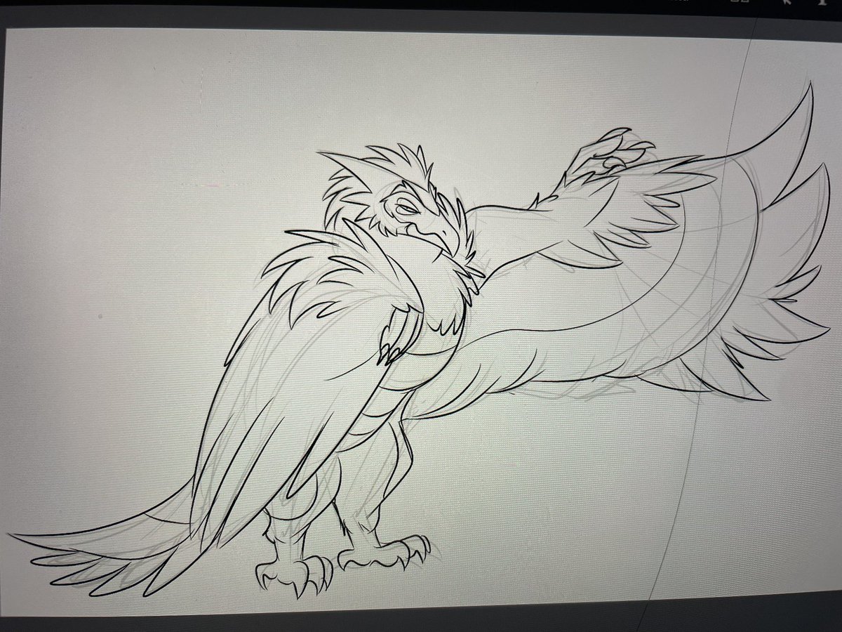 roy (STEEL BALL RUN 🩷🐎) tweet media