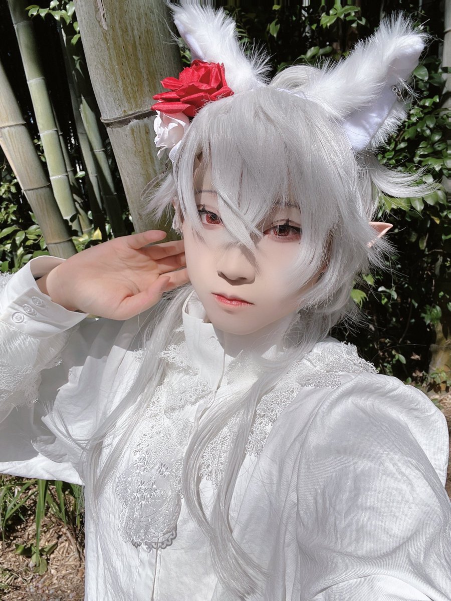 そくほう！
 #ミヤオリ