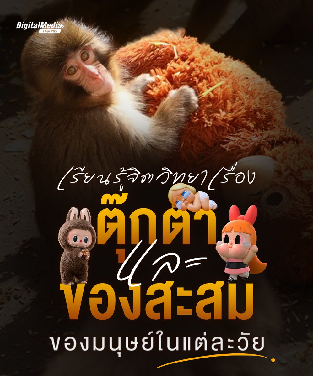 “พันช์คุง” ลิงน้อยจากญี่ปุ่นกลายเป็นกระแสทั่วโลกจากภาพน่ารักของลิงน้อยนอนกอดตุ๊กตาแม่ลิง ชวนให้สงสัย “ตุ๊กตา” กับสิ่งมีชีวิตมีความสัมพันธ์กันอย่างไร ?
.
#ThaiPBS รวบรวมเรื่องน่ารู้ของจิตวิทยาแห่งสิ่งของทางใจ “ตุ๊กตา” ในวัยเด็กสำคัญอย่างไร ? “ของเล่น” ทำงานอย่างไรกับมนุษย์