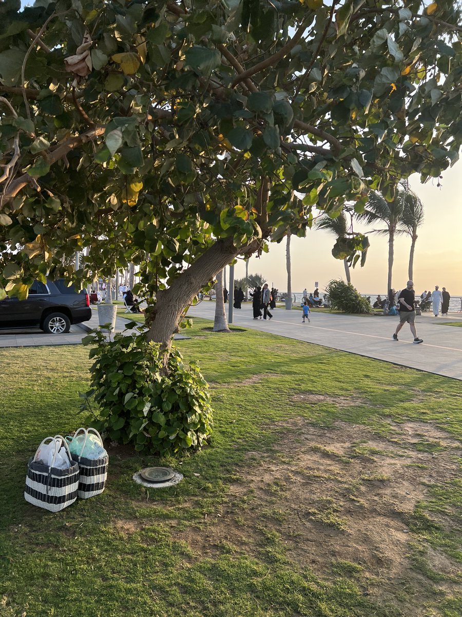 Dr. Nawaf 🇸🇦 tweet media