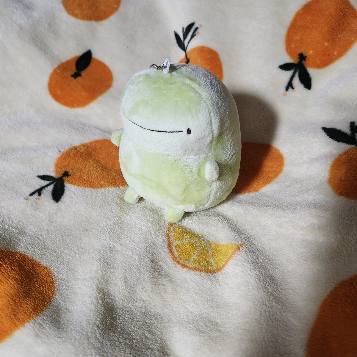 티티&키키 tweet media