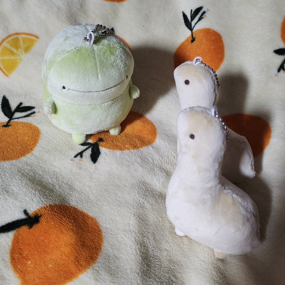 티티&키키 tweet media