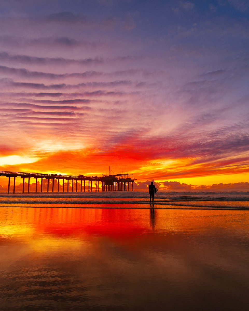 UC San Diego tweet media