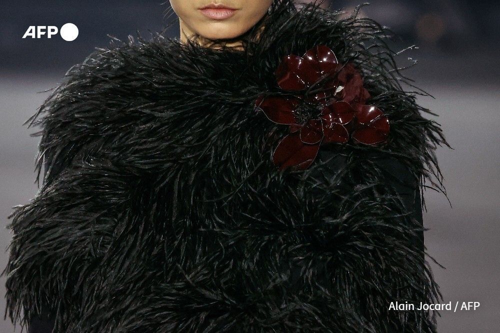 AFP's tweet image. Models present creations by Elie Saab for the Women's Ready to Wear Fall/Winter 2026-2027 collection as part of Paris Fashion Week 📷 @alainjocard 
#PFW #PARISFASHIONWEEK #FASHIONWEEK