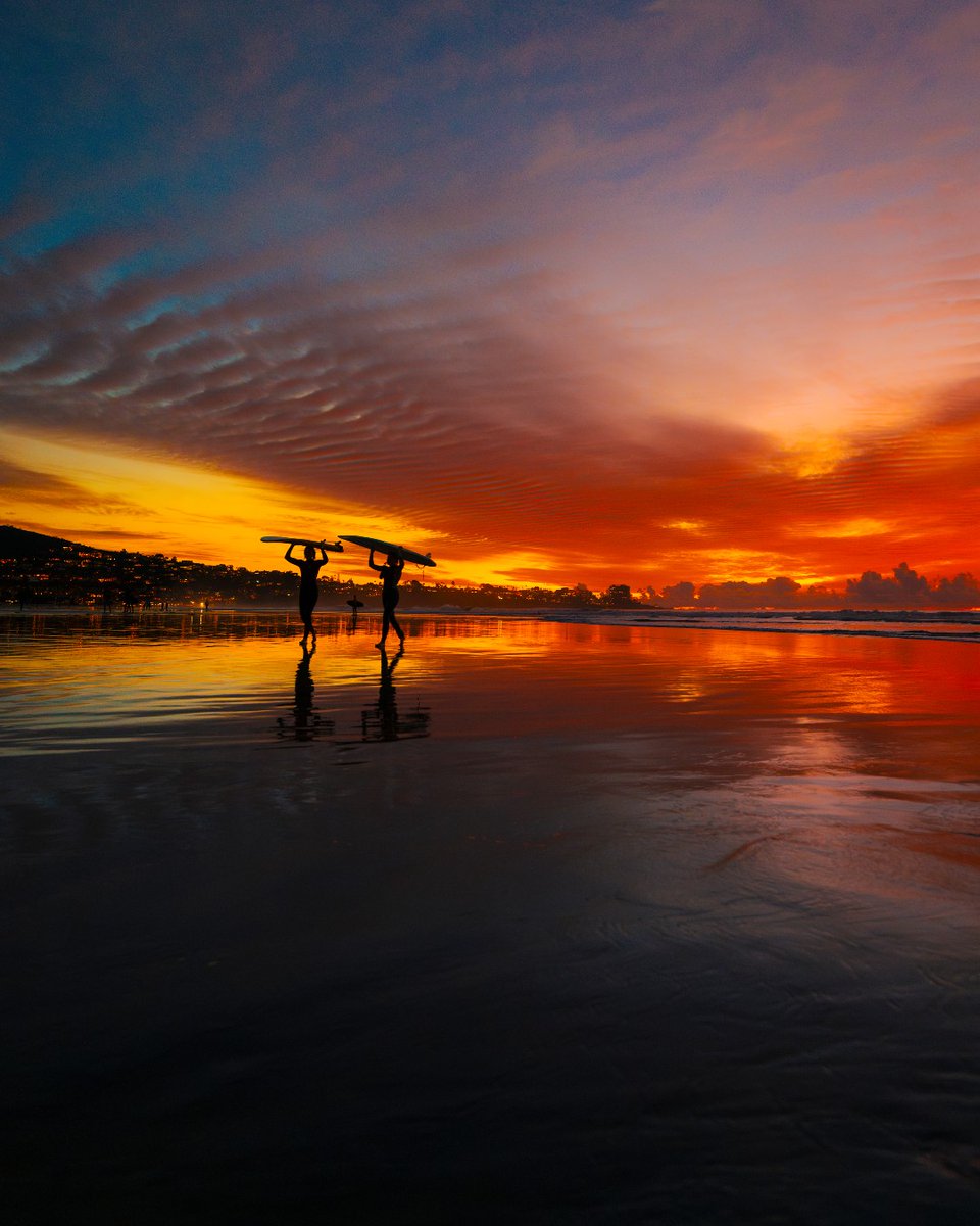 UC San Diego tweet media