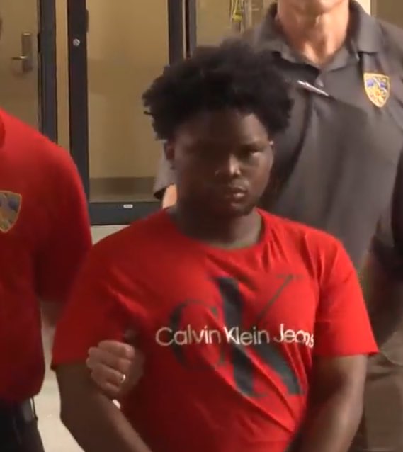 Libs of TikTok tweet media