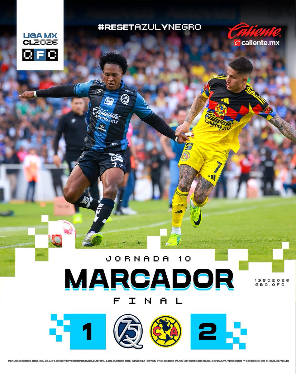 Gallos Blancos 🐓 tweet media