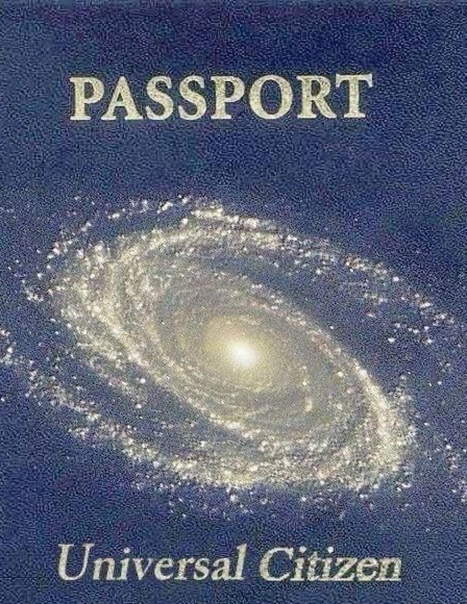 Steve Rogers tweet media