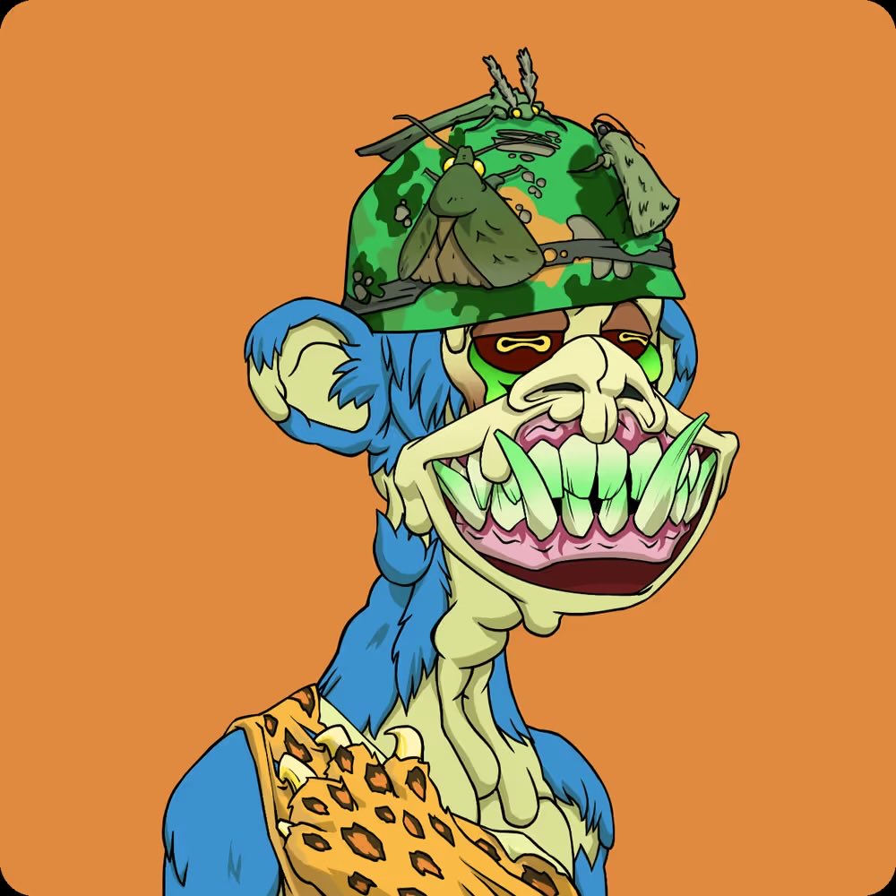 Haydos 🦍 tweet media