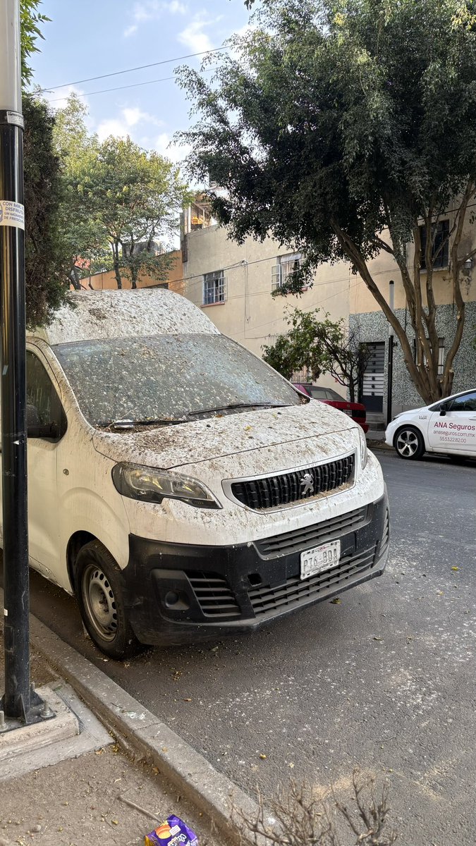 Primates al Volante tweet media