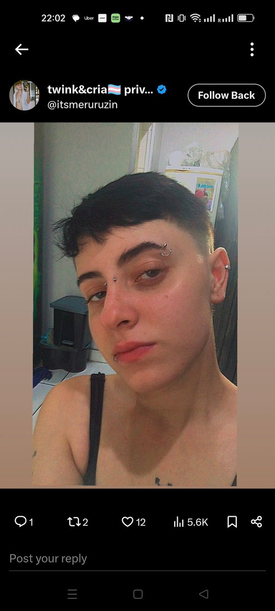 Mambo Perv tweet media