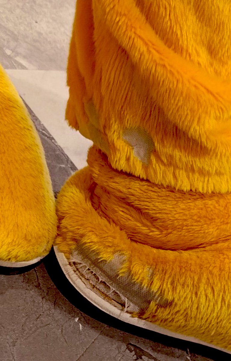 浄法寺のねこ(10月24日ニャンミ) tweet media