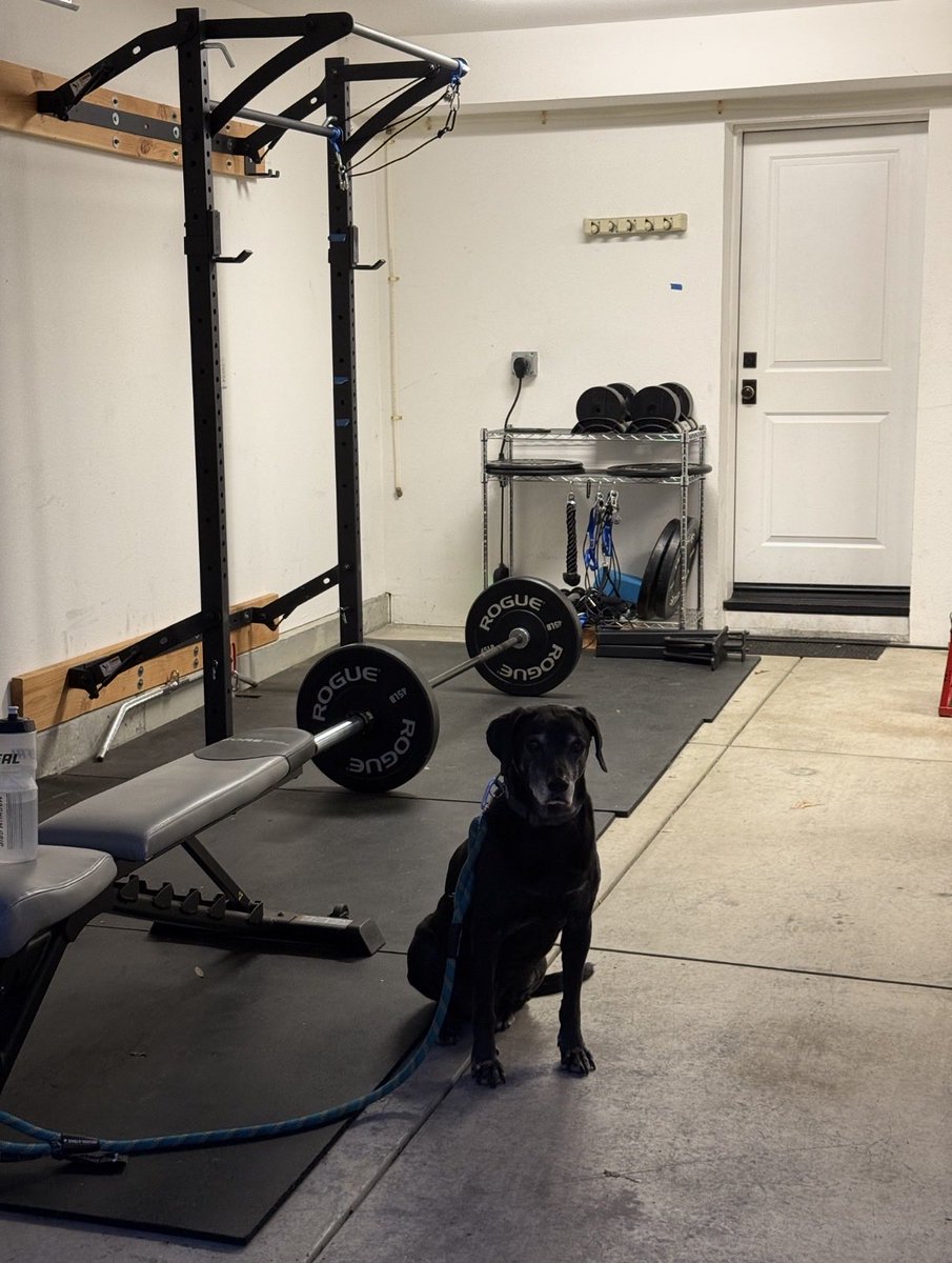 Kevin Satzinger tweet media