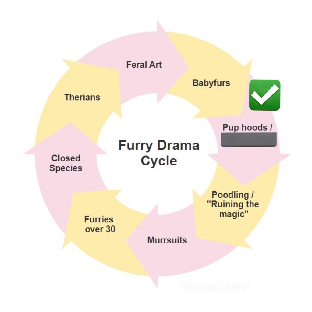 Nat 🐶 tweet media