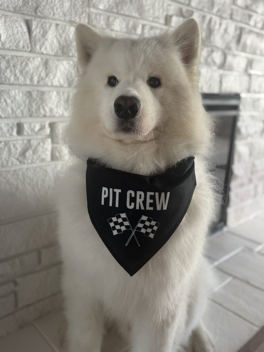 And it’s race day….🏎️🏎️🏎️🏎️