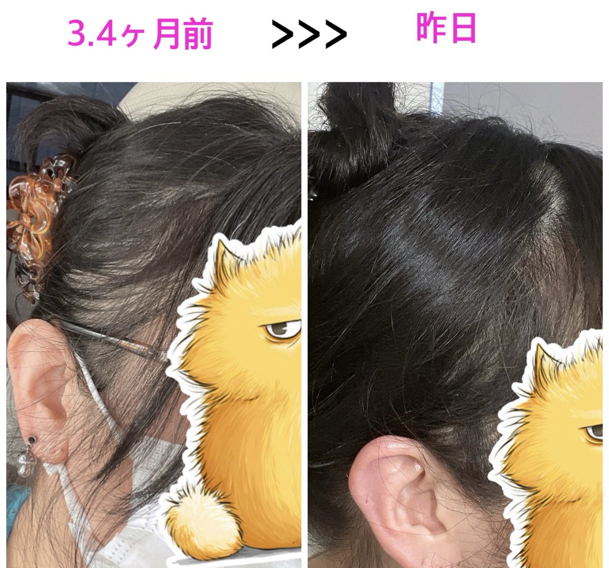 もずく tweet media