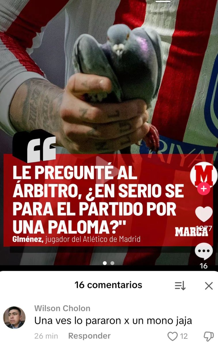 MHDP (@mateo__atm) on Twitter photo 