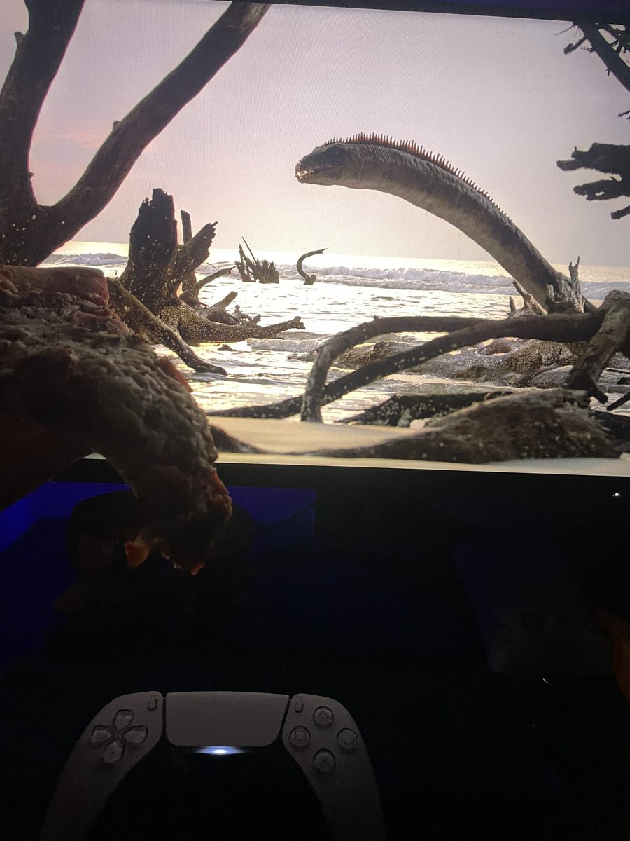 Am0r 🇨🇴 tweet media