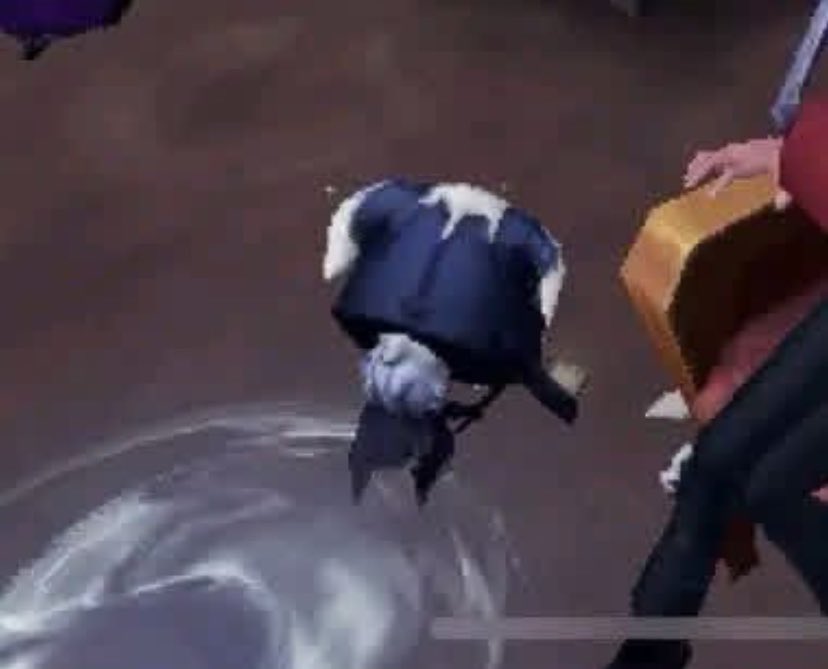 PeeperItha tweet media