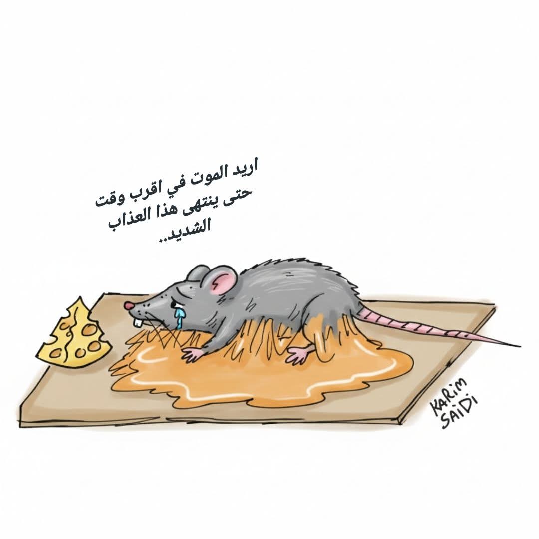 عمار حزام tweet media