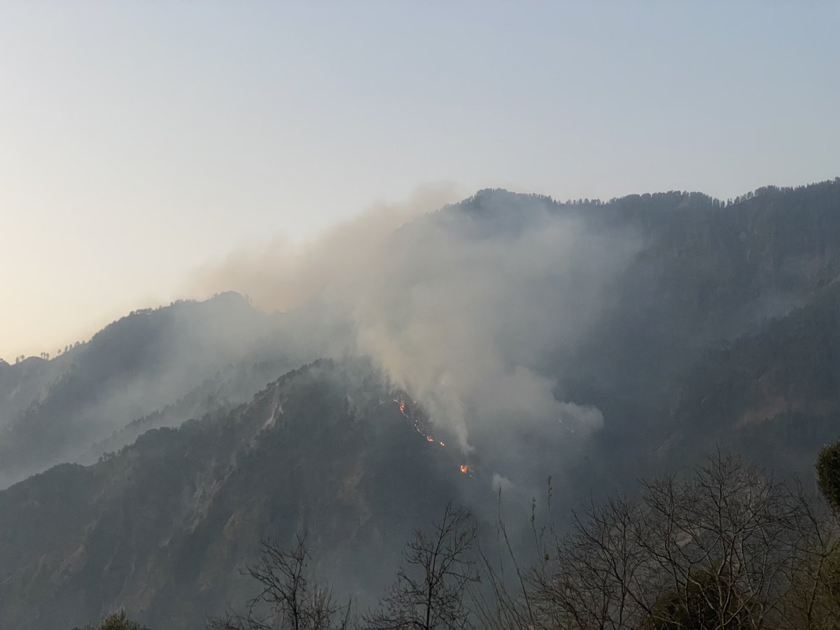 Cryptof64140089's tweet photo. Forest fire reported in Chansu Hills, of District Ramban Jammu region. Dry conditions fueling flames, endangering wildlife &amp; nearby areas. Appeal for rapid response from forest dept &amp; locals. Protect our hills! 🌲🔥  #SaveChansuHills @narendramodi  @DrJitendraSingh  @dcramban https://t.co/neqpQMYLZq