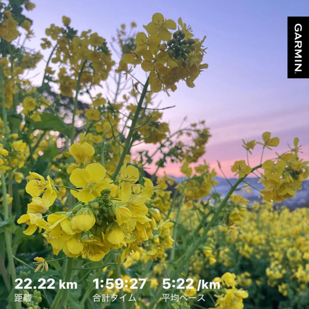 れんこん tweet media