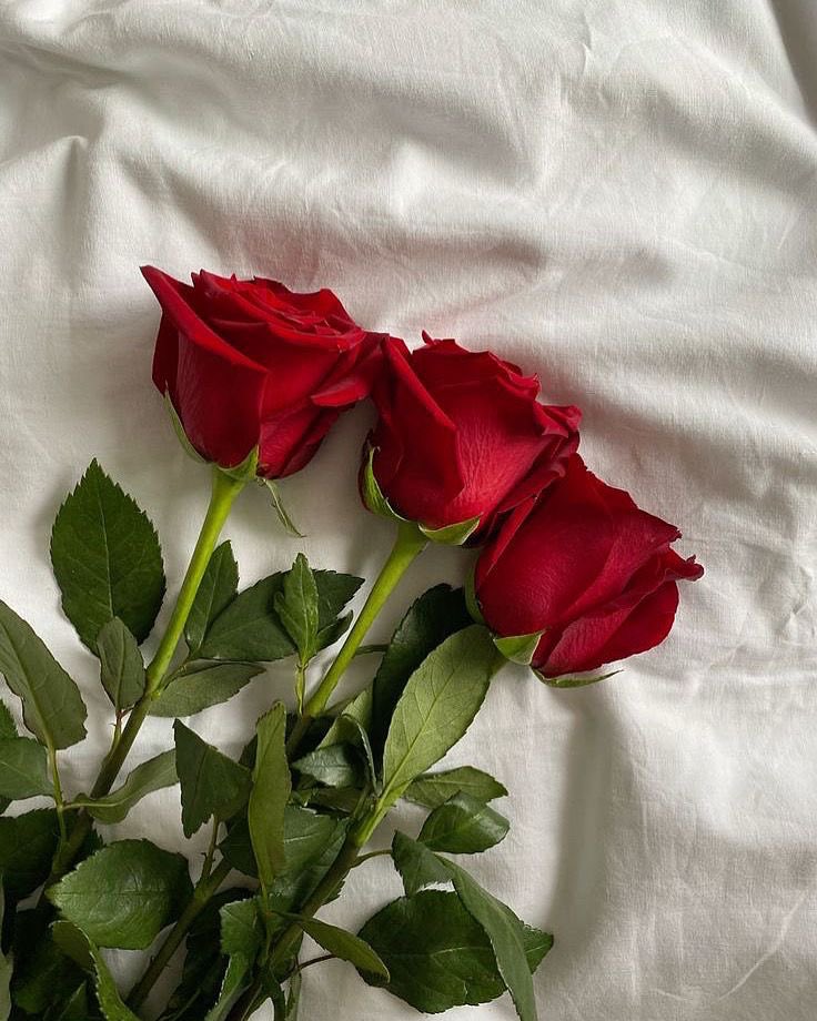 padoparang's tweet photo. 💜 Happy International Women's Day! 

3월 8일, 여성의 날이 왔어요 🥳
여성의 날을 대표하는 빵과 장미,
그 이유를 아시나요?

🍞빵
굶주림을 면할 권리, 즉 생존권과 적절한 임금, 노동 환경 개선을 의미해요

🌹장미
인간다운 생활을 누릴 권리, 즉 참정권과 여성으로서의 존엄성, 삶의 여유를 의미해요

단순히 살아남는 것을 넘어, 인간답게 피어나는 삶을 위해 전진하는 여성들을 응원합니다

💜 세계 여성의 날을 축하합니다 

#세계여성의날 #HappyWomensDay
