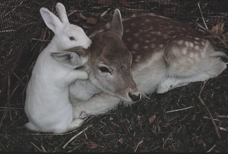 Lil drip drop tweet media