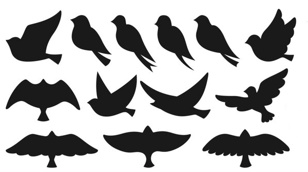 Bantu Languages tweet media