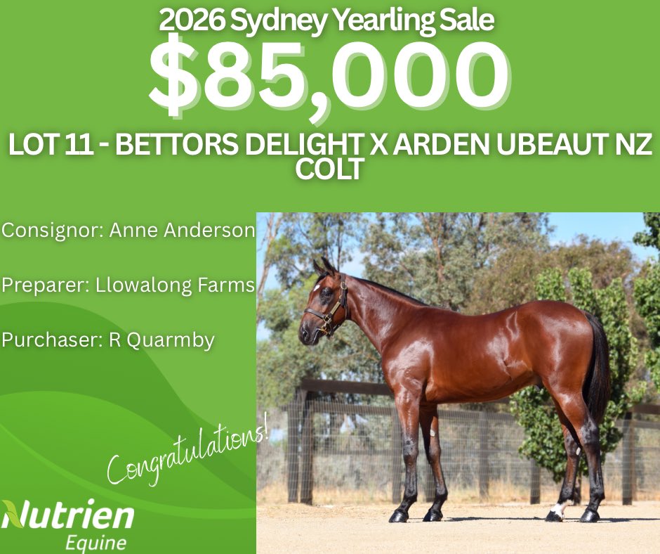 Nutrien Equine Standardbred tweet media