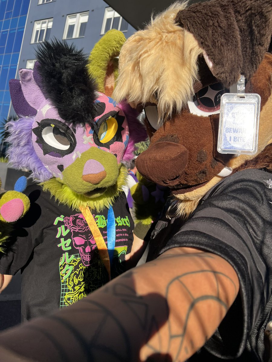 MickyU! 🎶|| 🔜FURDU26 tweet media