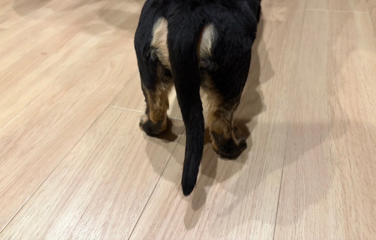 まーやん マイスト Milestonefor10years tweet media