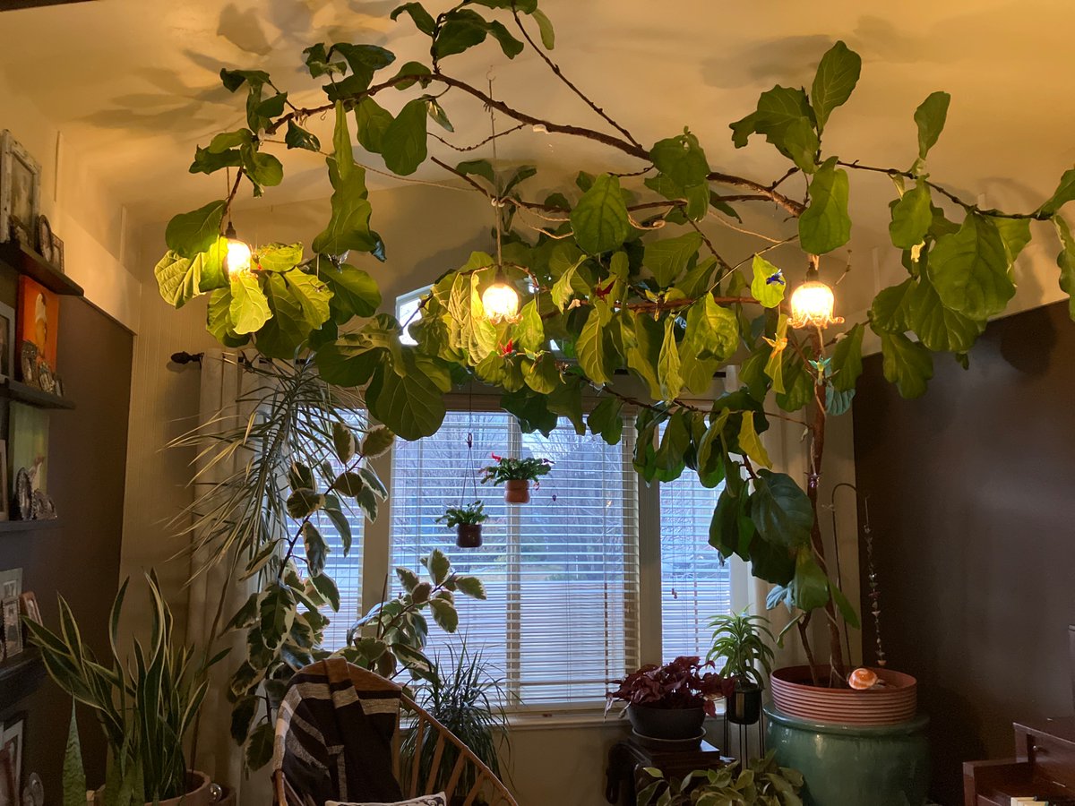 Cam was in 🐊 tweet media