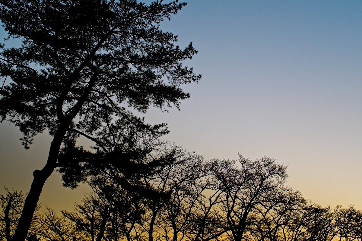 boring_tokyo's tweet photo. 夕方の公園

om3+m.zuiko 17mm https://t.co/1SNrek0HKz