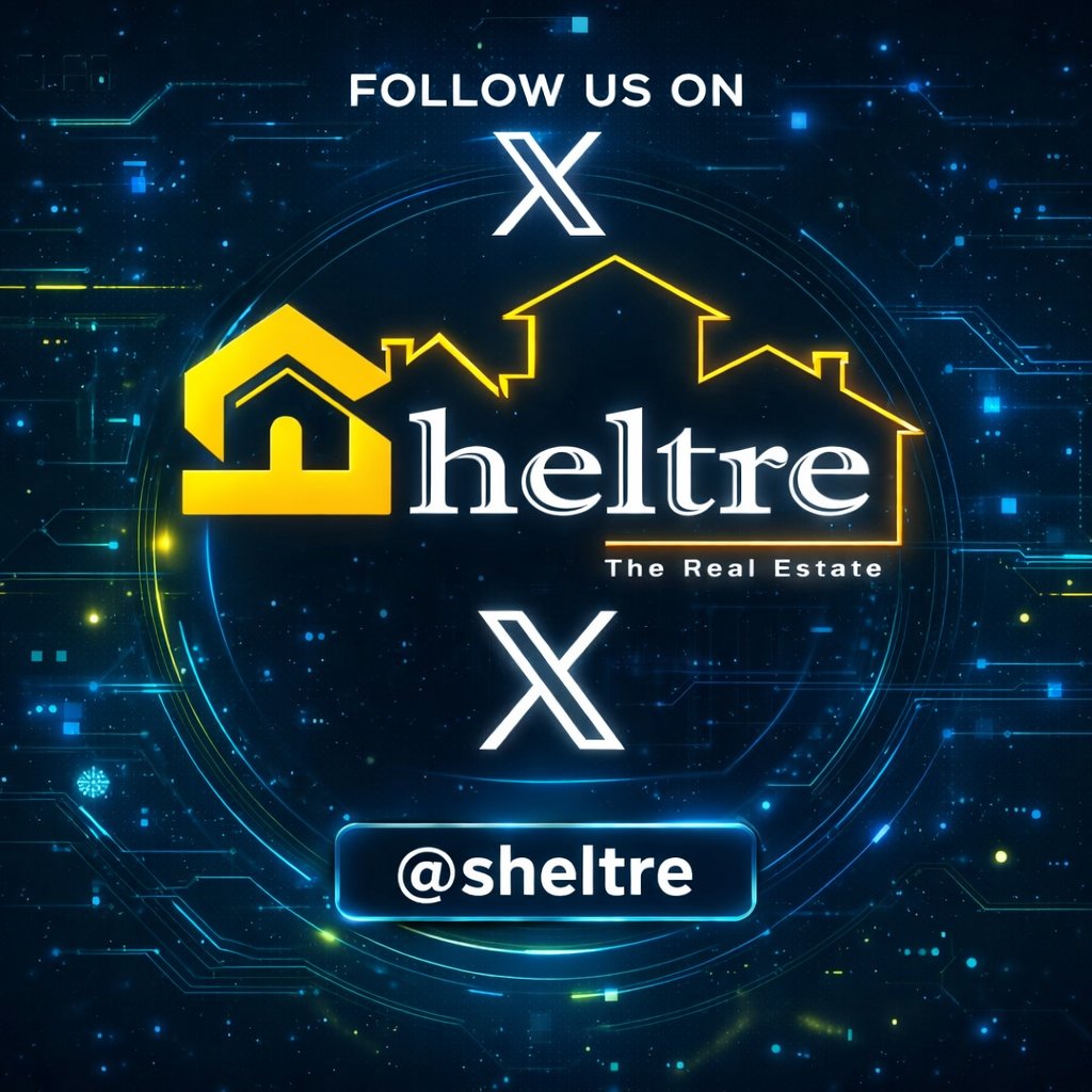 The Sheltre Movement tweet media