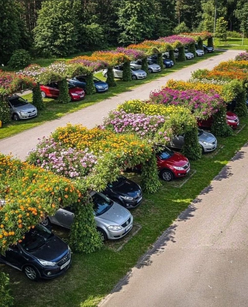 “Flores”

Porque los techos de los estacionamientos en Japón se convirtieron en mini jardines.