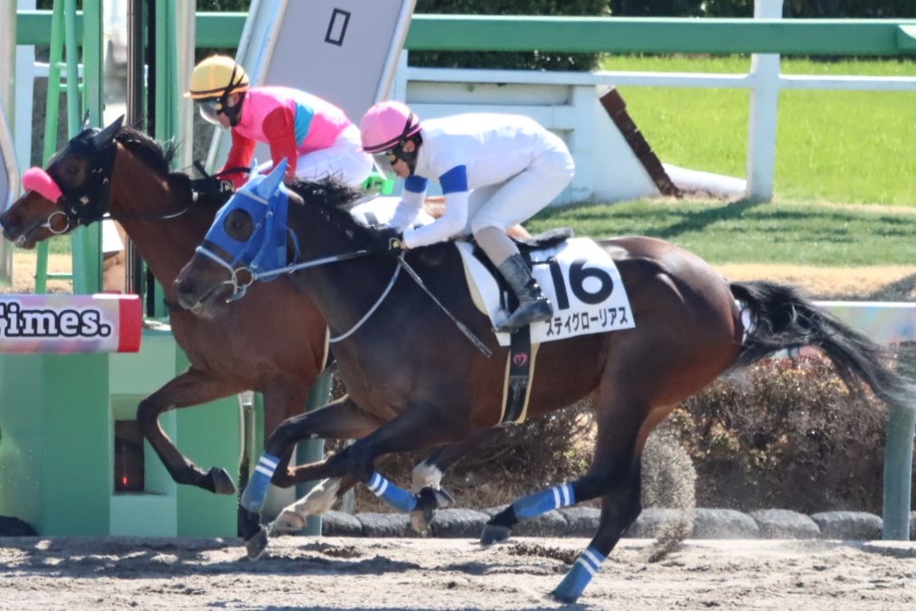 HiyoshiPocket's tweet photo. 2026年3月8日
#ステイグローリアス
#松岡正海
#StayGlorious
#3歳未勝利
#中山競馬場 https://t.co/moWUrpP8HZ