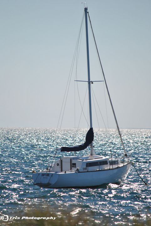 Triso18's tweet photo. Art of the Day! "Yacht". Buy at: https://t.co/kEjyVKZhhq https://t.co/a1eEofJjek