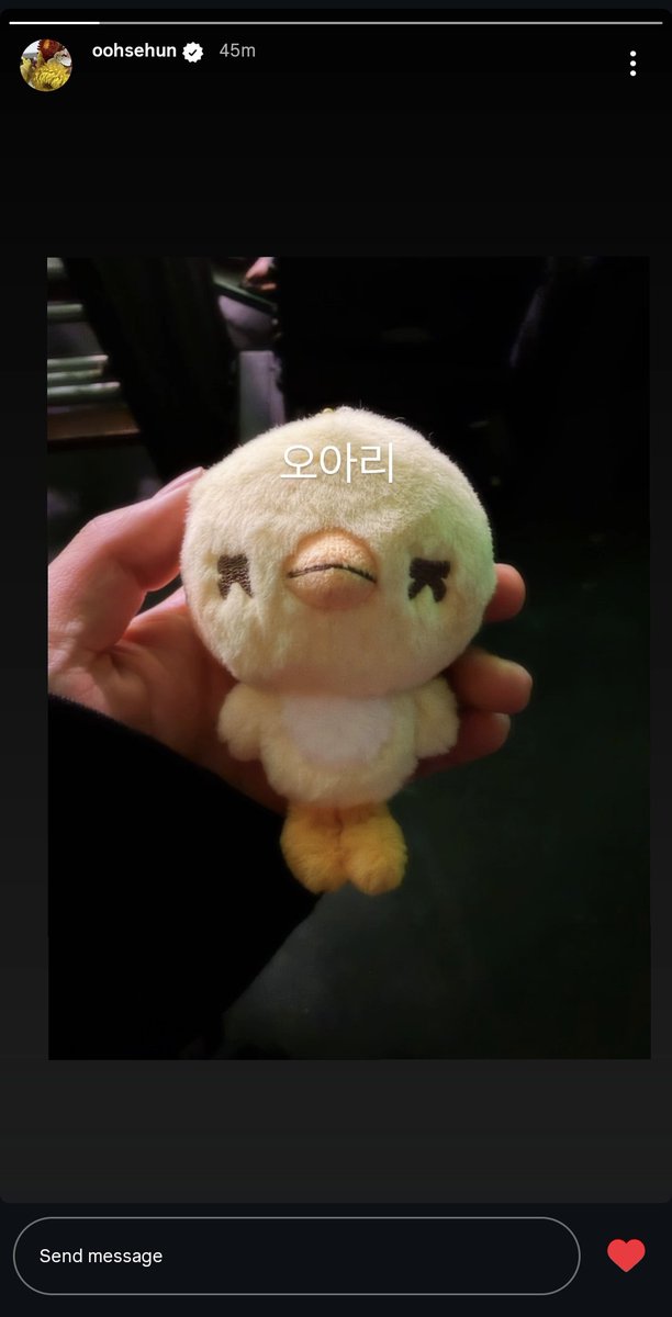 ohmierae12's tweet photo. Sehun IG story update✨️

So cuteee😍 https://t.co/IuvykJyZBo