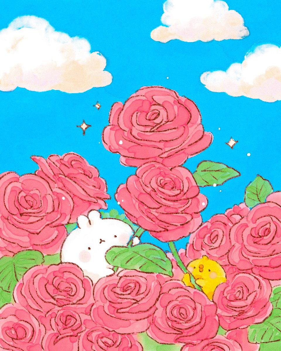 몰랑이작가🐰 tweet media