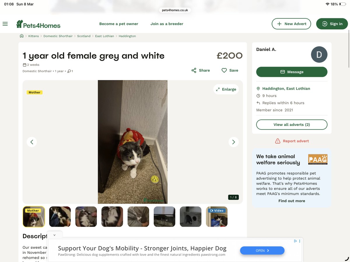 rea_milton's tweet photo. @ScottishSPCA Just to make you aware: there’s someone trying to sell a cat for 200 pounds that they got from you 4 months ago. https://t.co/VMM7I8uUFq