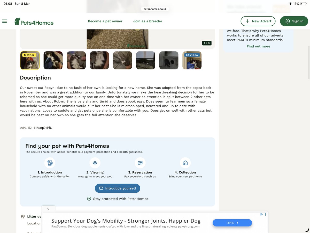 rea_milton's tweet photo. @ScottishSPCA Just to make you aware: there’s someone trying to sell a cat for 200 pounds that they got from you 4 months ago. https://t.co/VMM7I8uUFq
