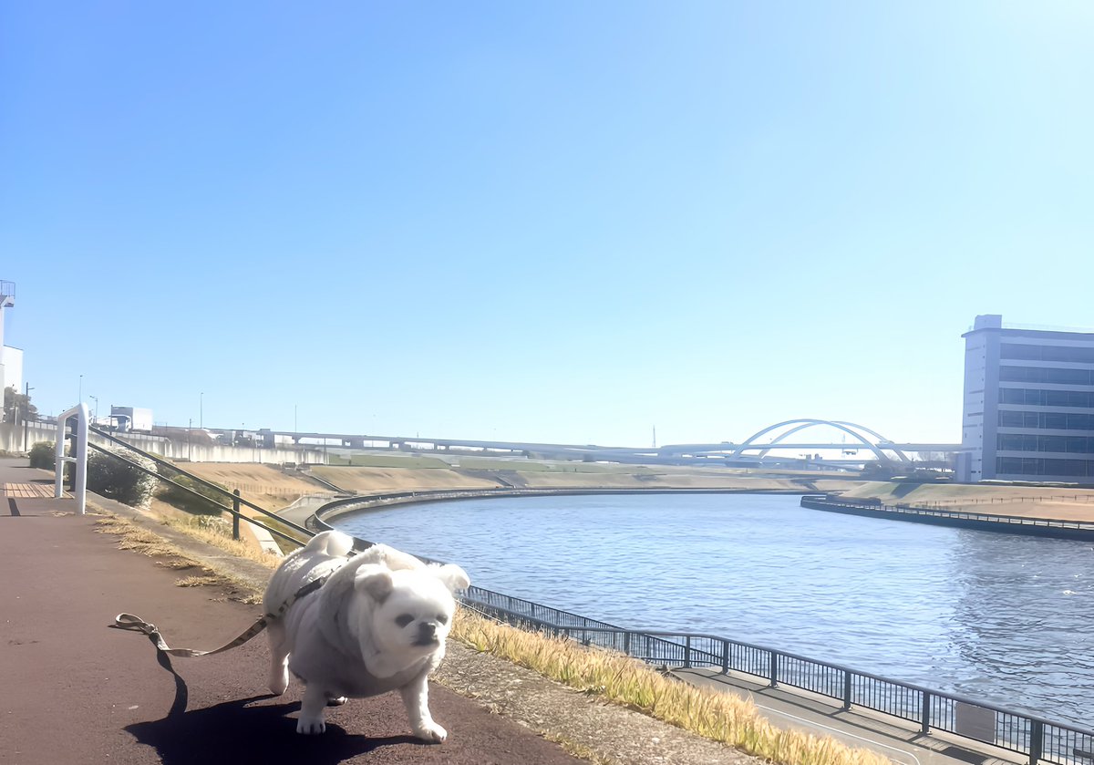 うえ田ボビ夫＠福祉と心理が好きな人 tweet media