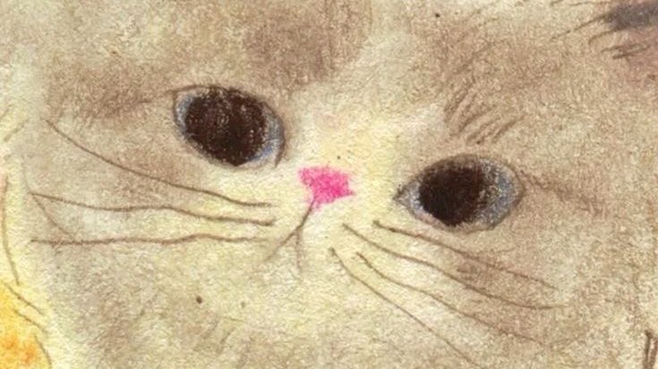 🎀🍓 tweet media